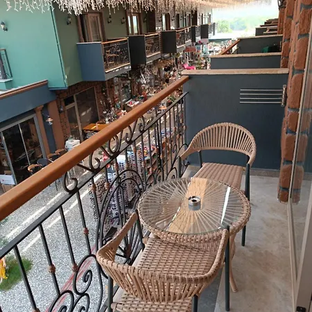 호텔 Dolphin Park 3*