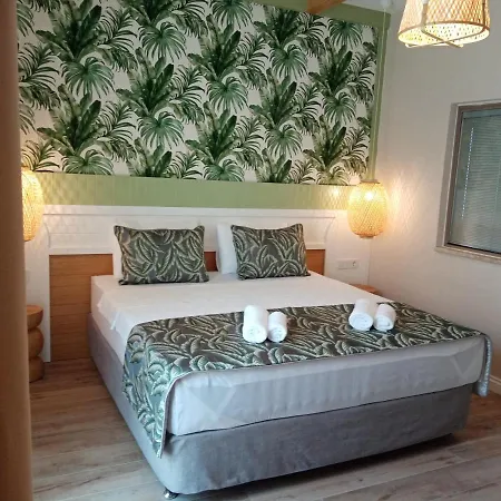 Dolphin Park 3* Ula