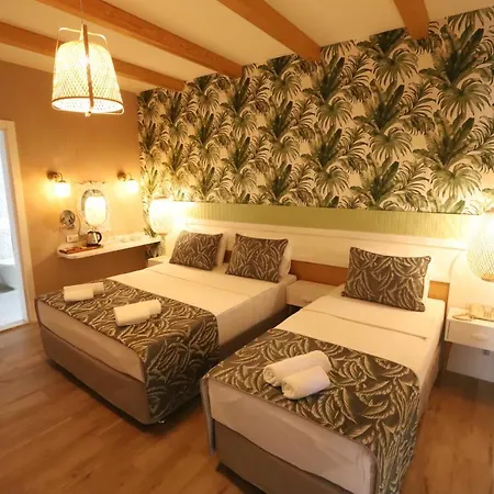 Hotel Dolphin Park 3*