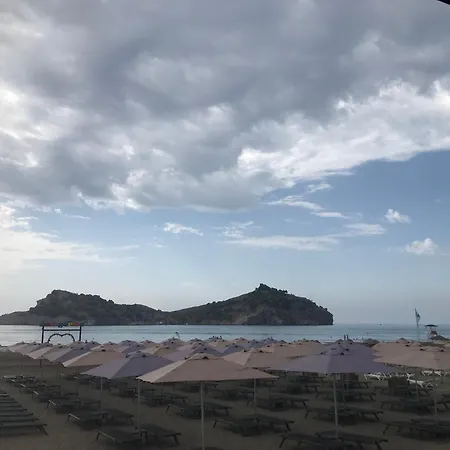 Dolphin Park
